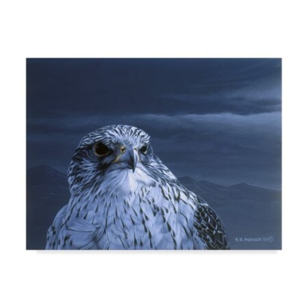 Ron Parker 'Gyrfalcon Portrait' Canvas Art,35x47